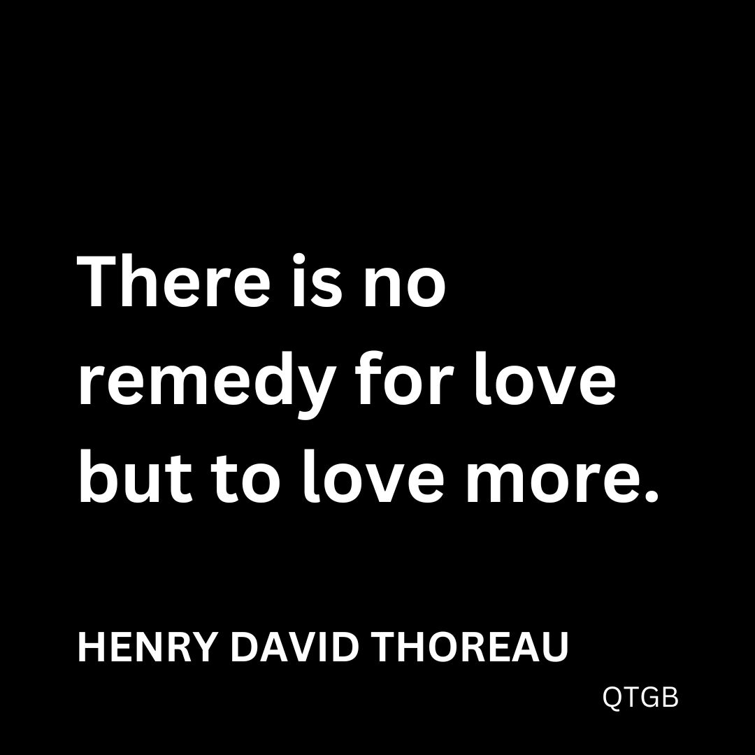 "There is no remedy for love but to love more." - Henry David Thoreau